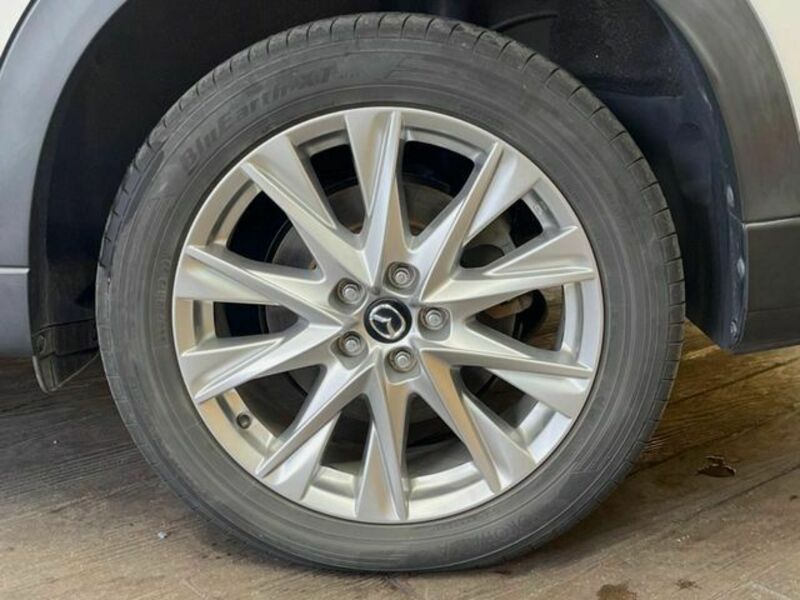 CX-8