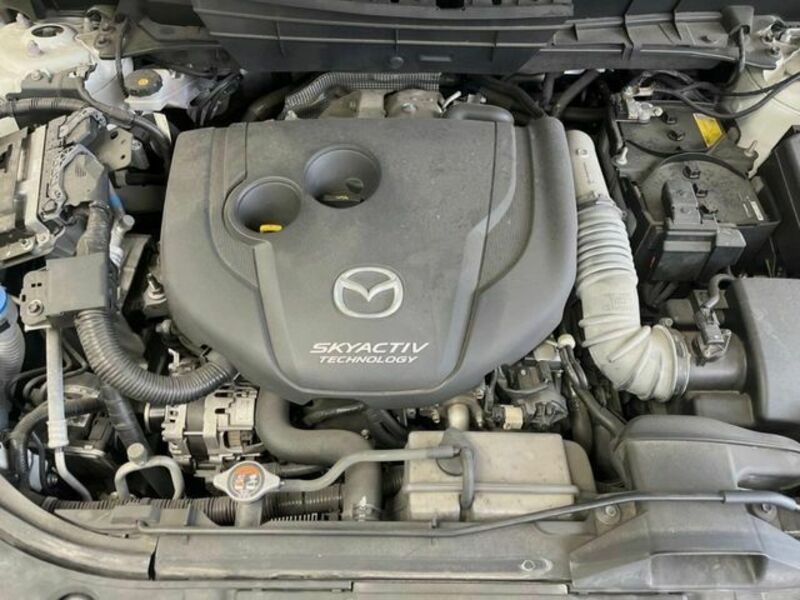 CX-8