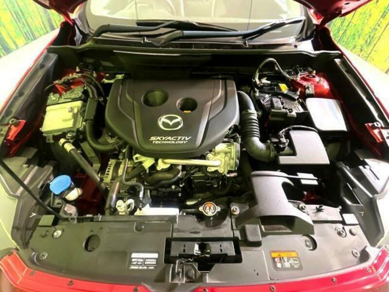CX-3-17
