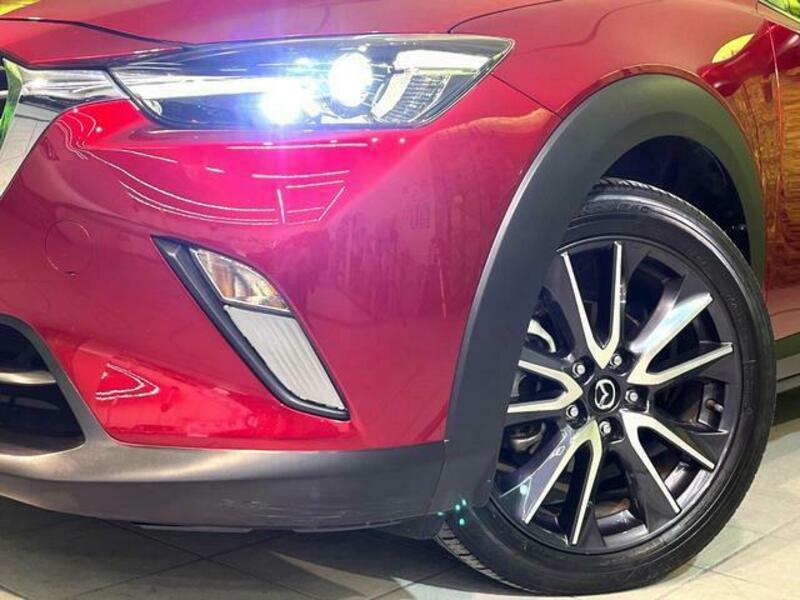 CX-3-11