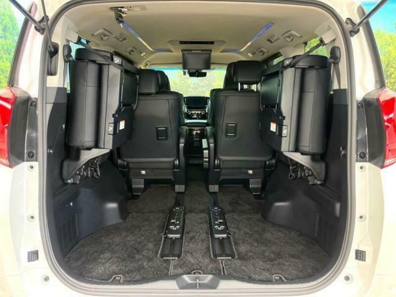 ALPHARD-10
