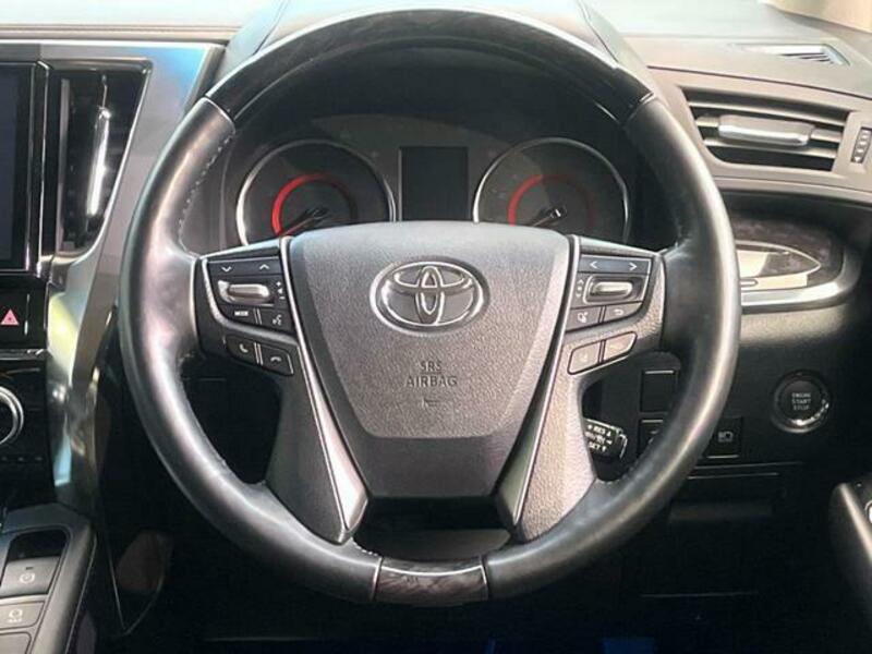 ALPHARD-11