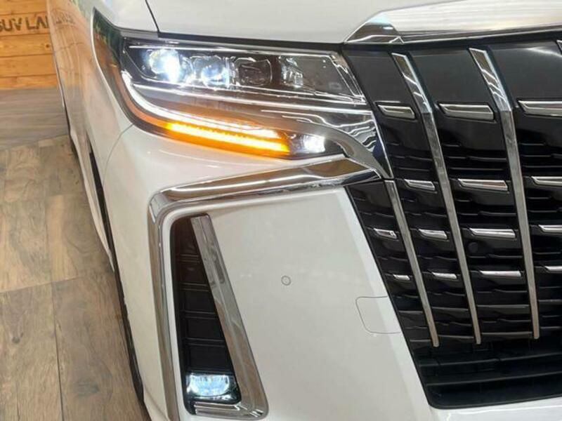 ALPHARD-13