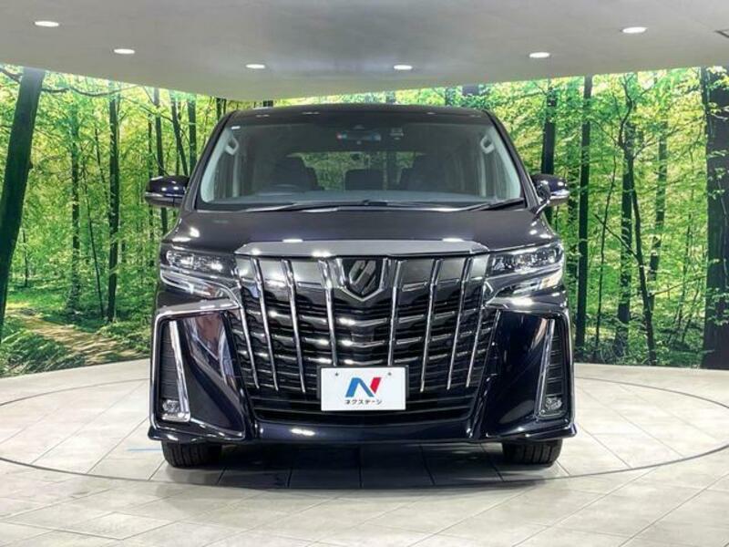 ALPHARD-16