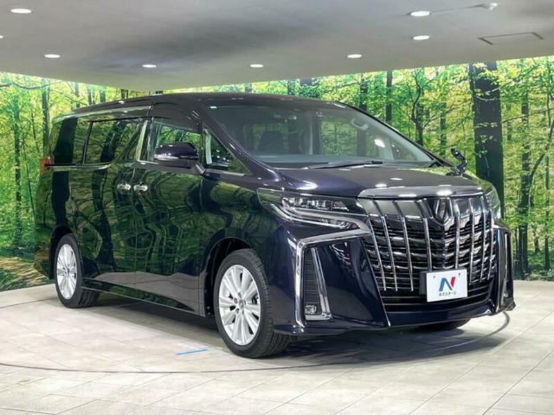 ALPHARD-18