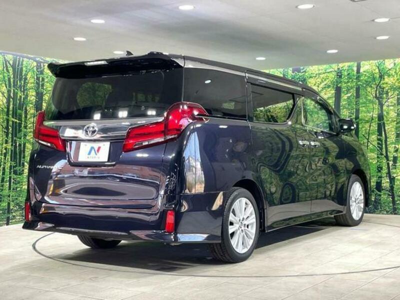 ALPHARD-19