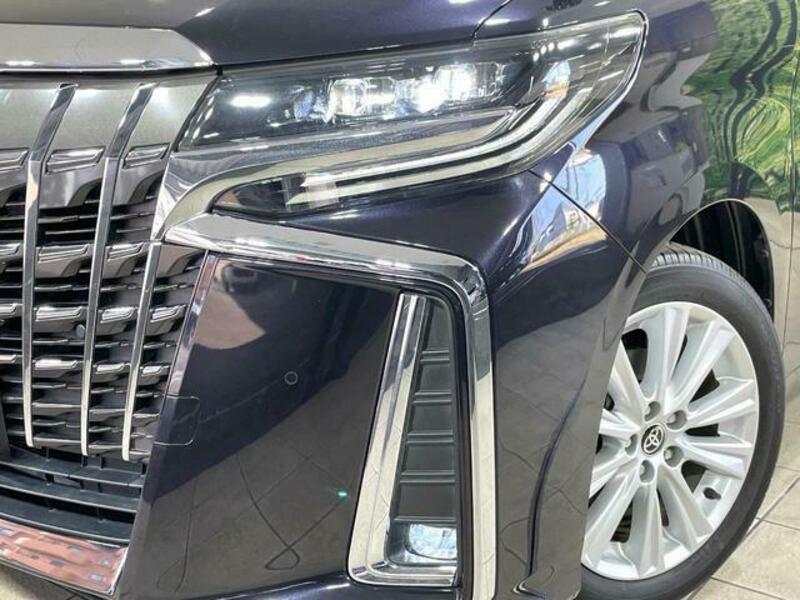 ALPHARD-14