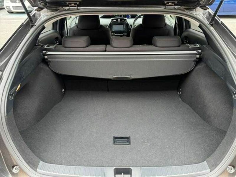 PRIUS-10