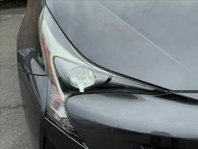 PRIUS-22
