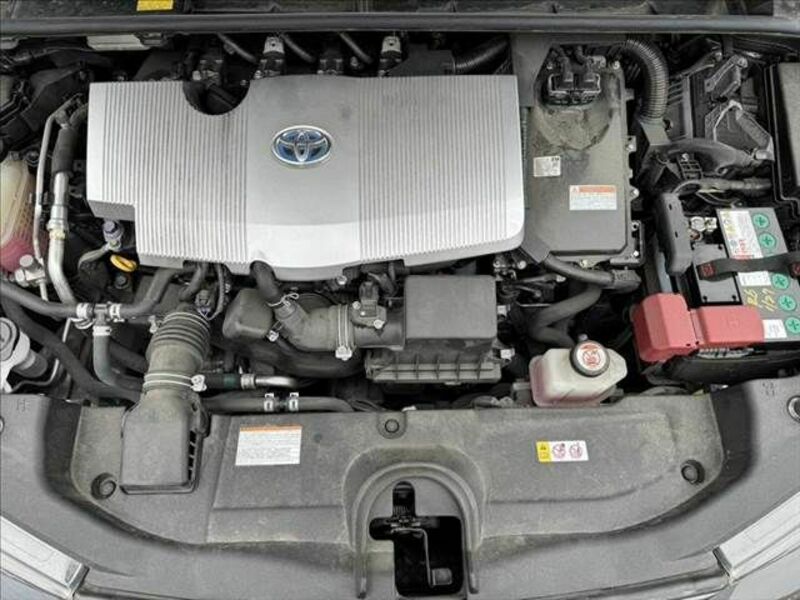 PRIUS-29