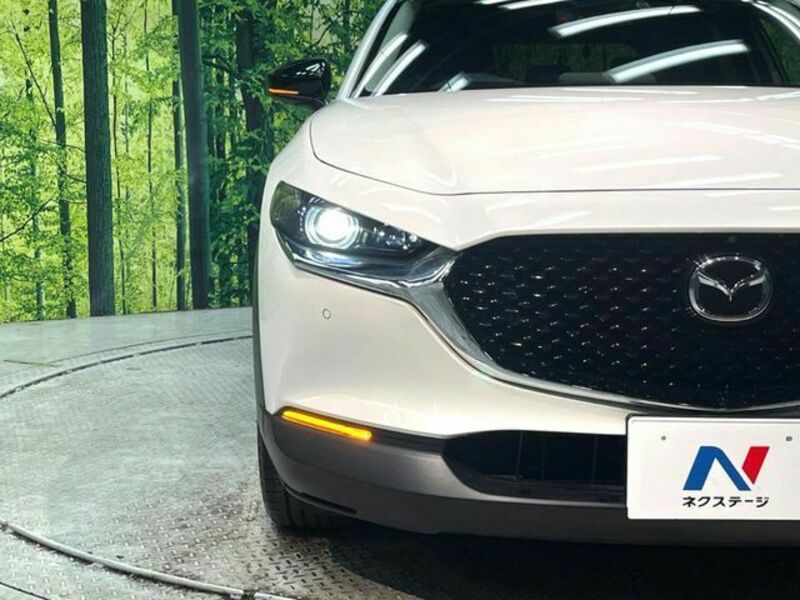 CX-30