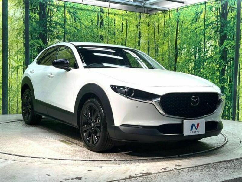 CX-30