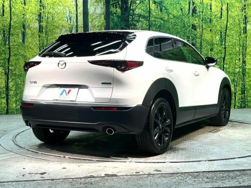 CX-30