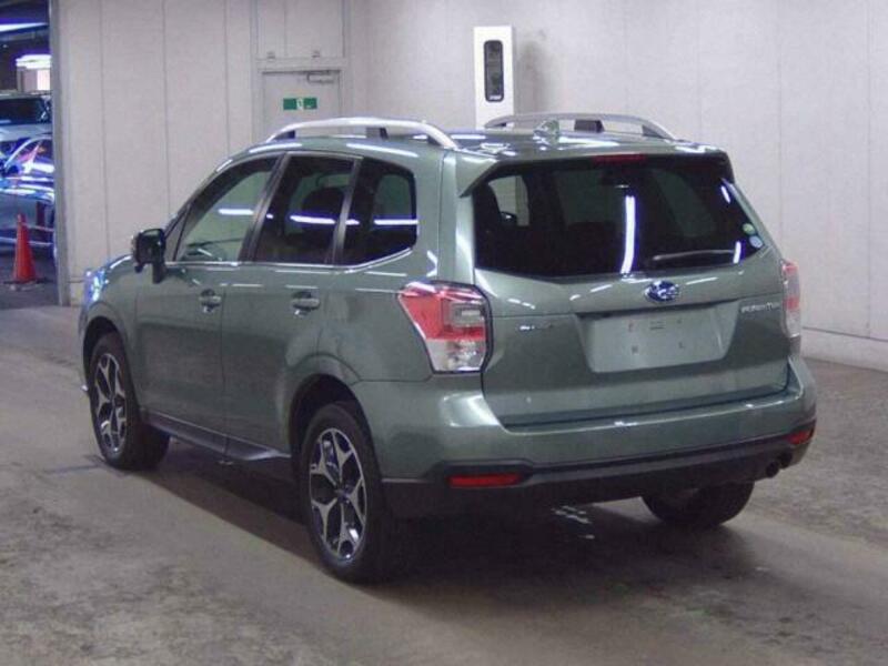 FORESTER