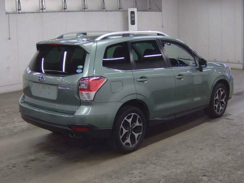 FORESTER