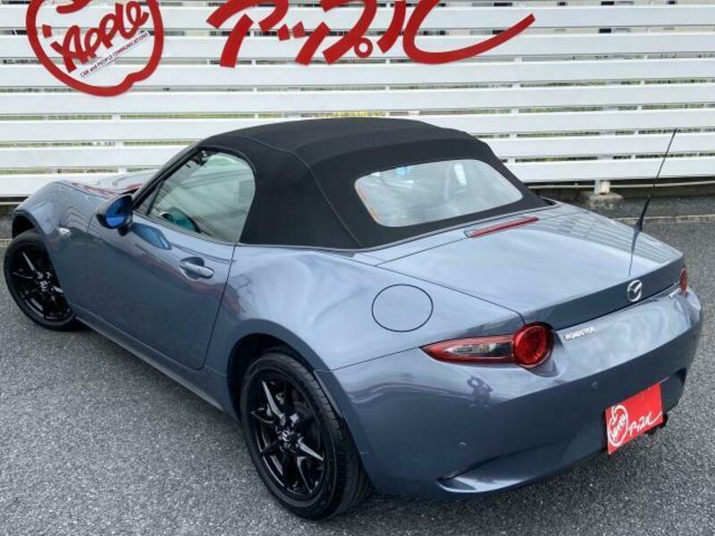 ROADSTER-3