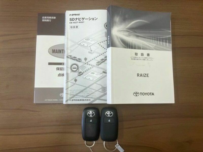RAIZE