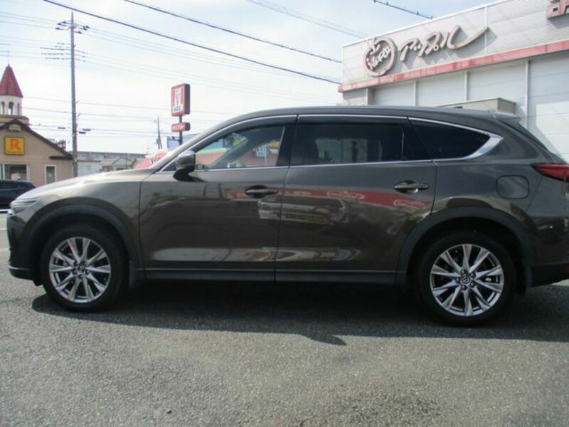 CX-8
