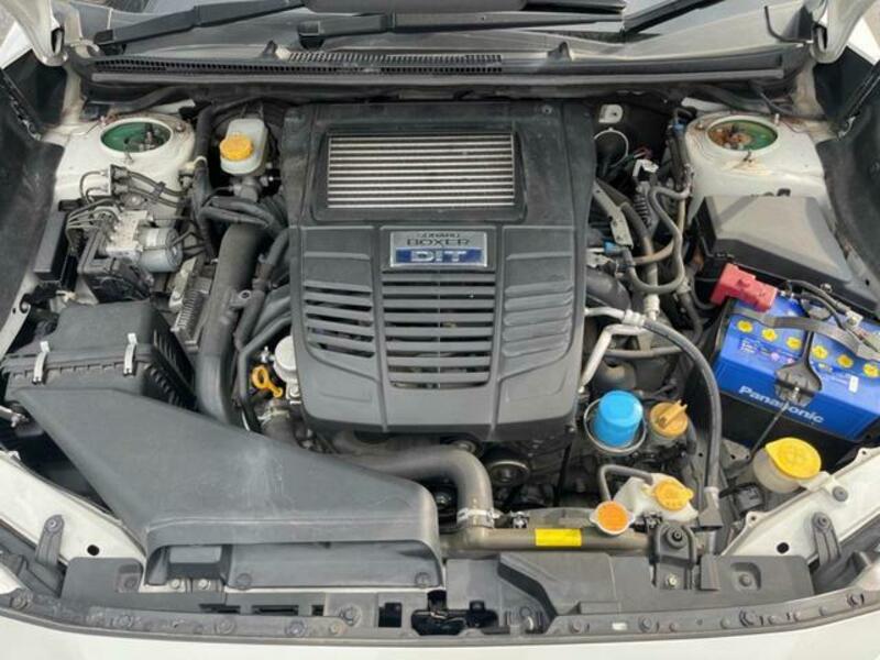 LEVORG-19