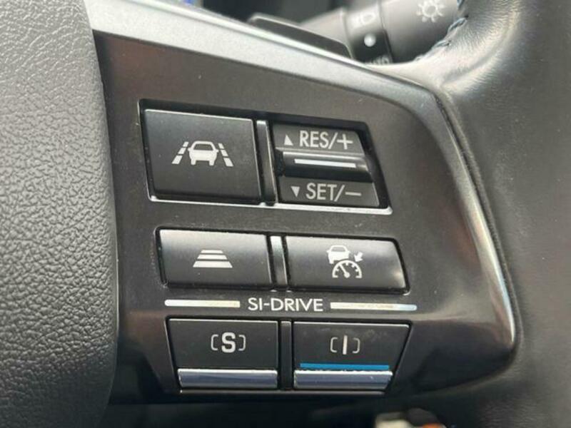 LEVORG-12