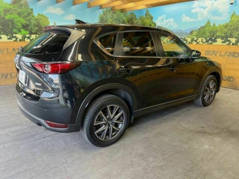 CX-5-17