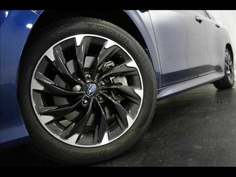 LEVORG-3
