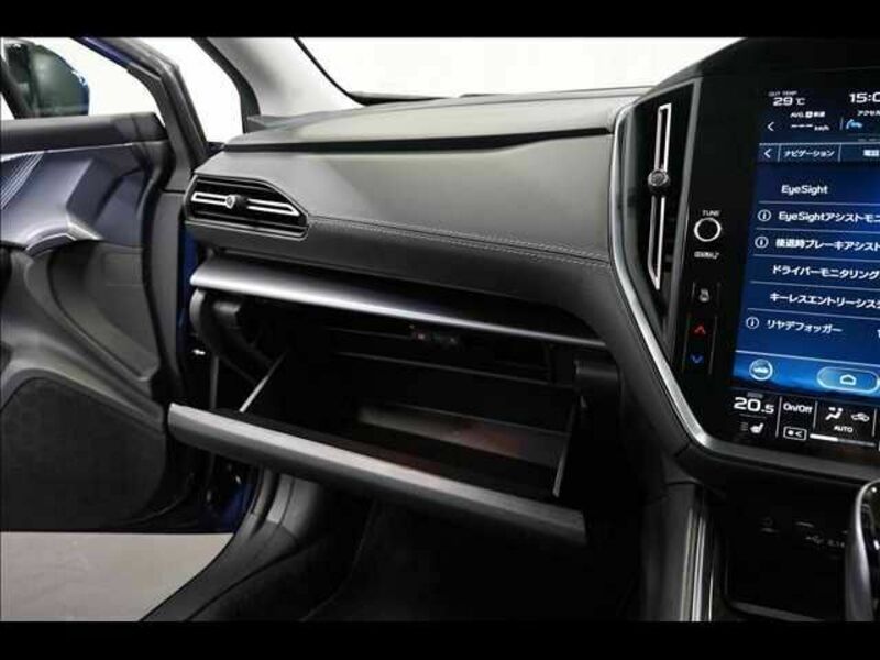 LEVORG-12