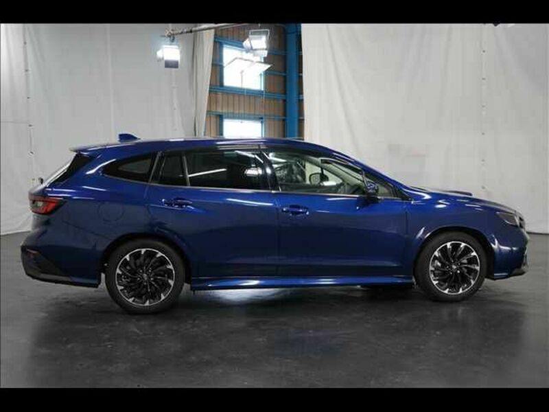 LEVORG-15