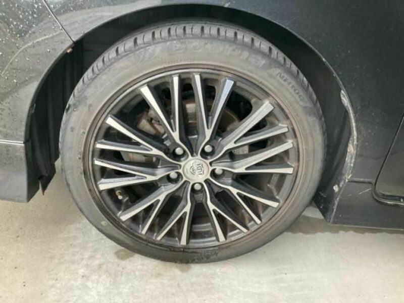 COROLLA RUMION