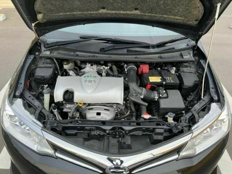 COROLLA FIELDER-24
