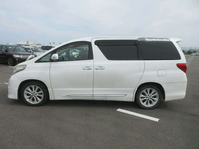 ALPHARD-6