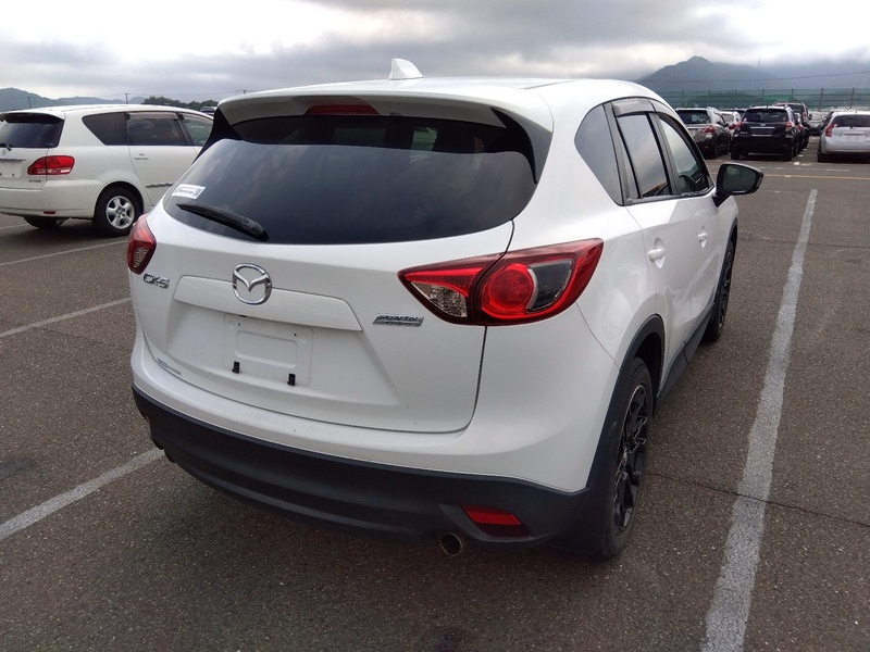 CX-5-3