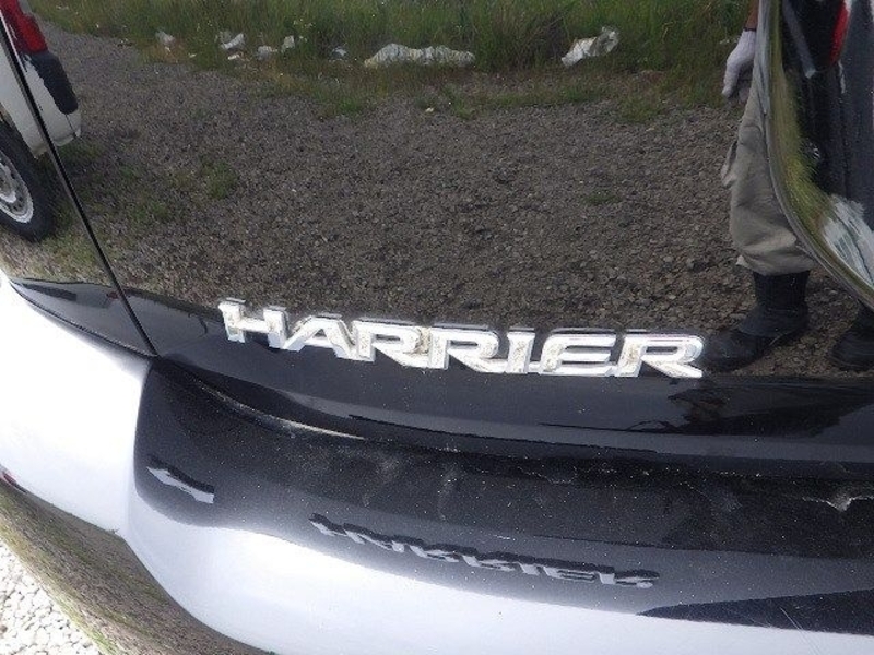 HARRIER