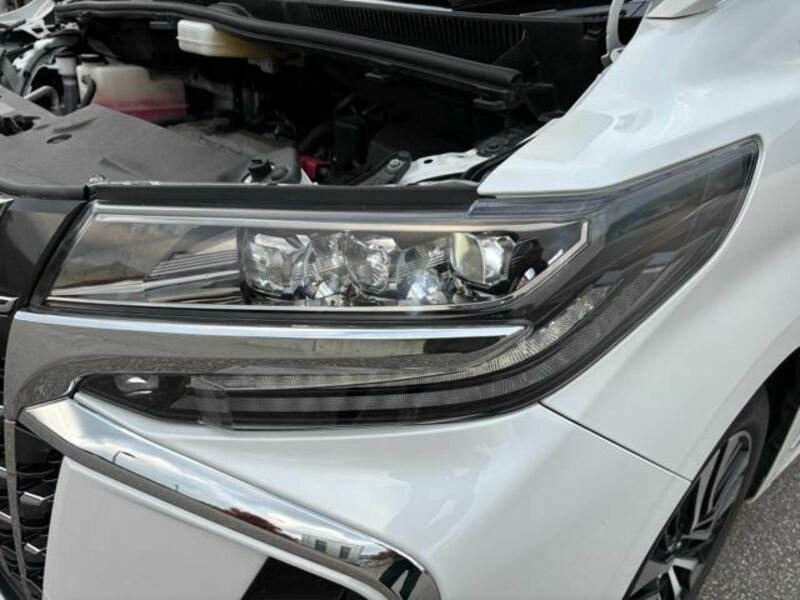ALPHARD-12
