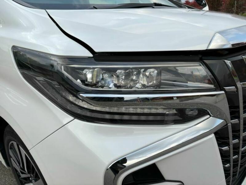 ALPHARD-14