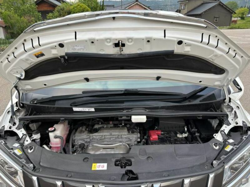 ALPHARD-15