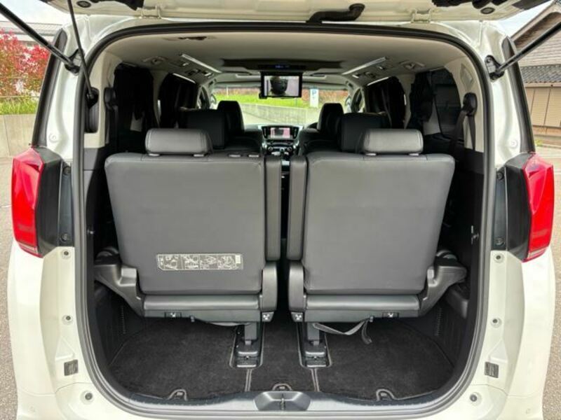 ALPHARD-46