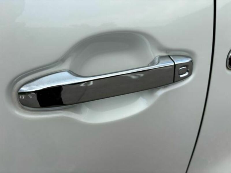 ALPHARD-49