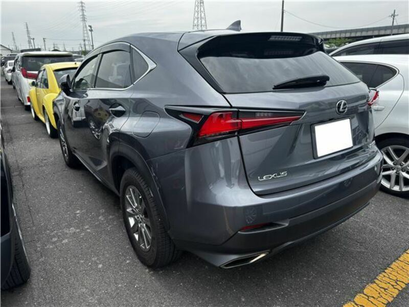 NX