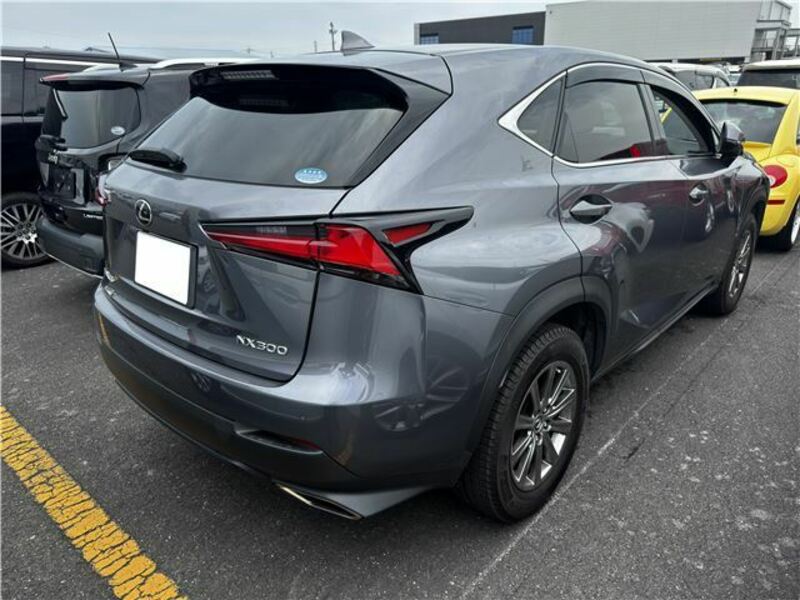 NX