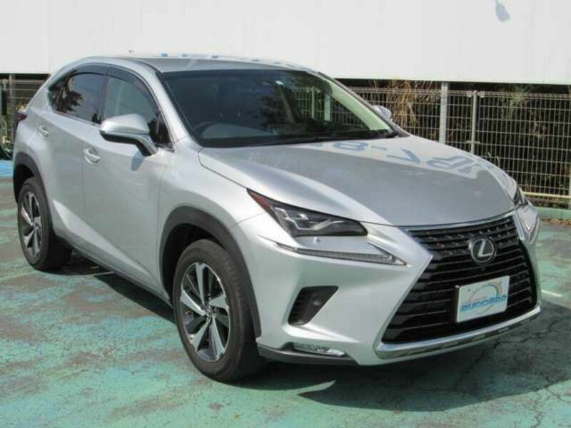 NX