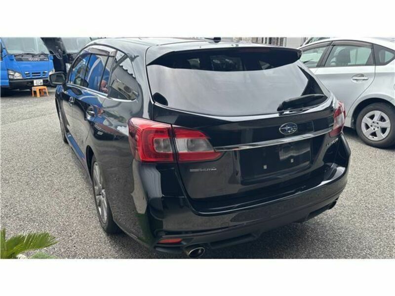 LEVORG