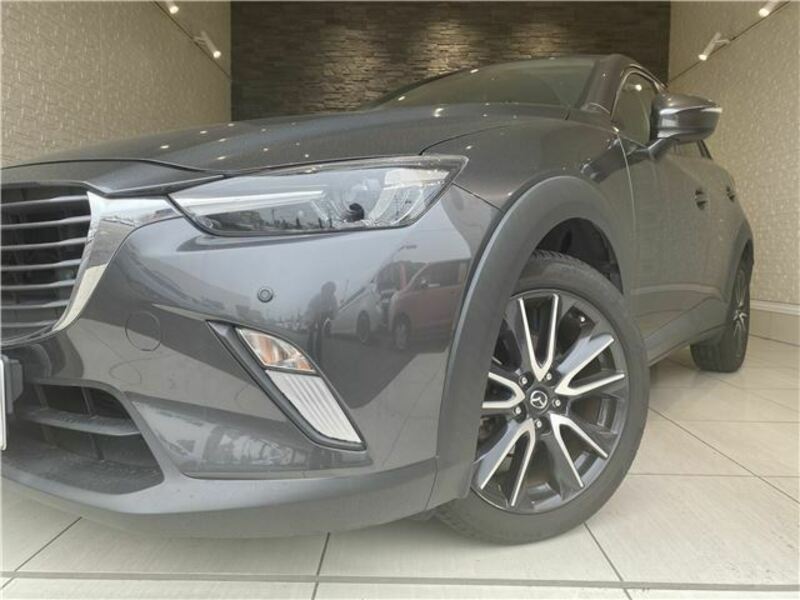 CX-3-1