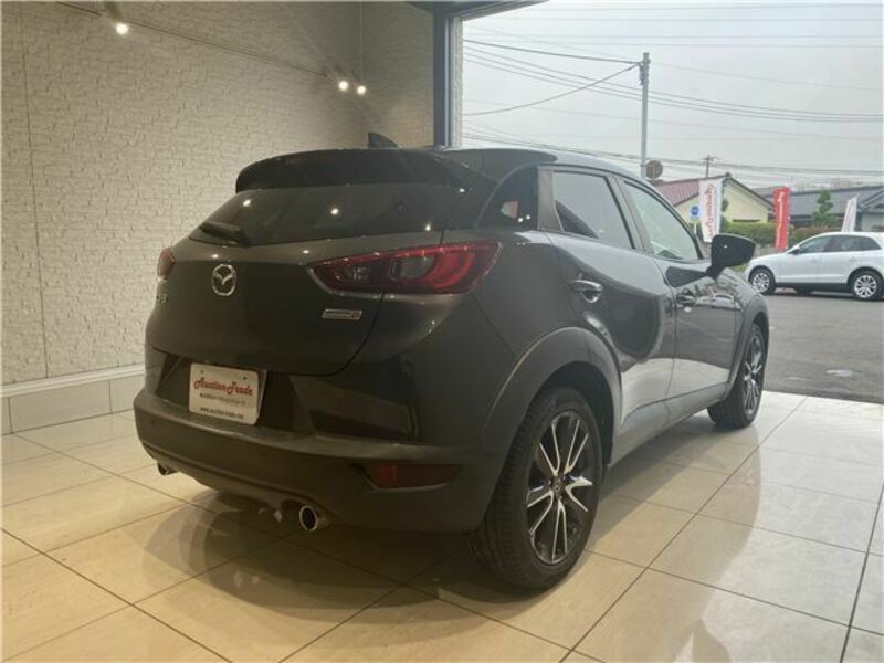 CX-3-6