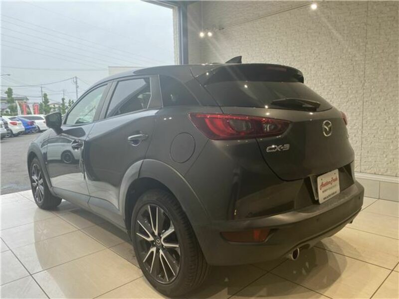 CX-3-8