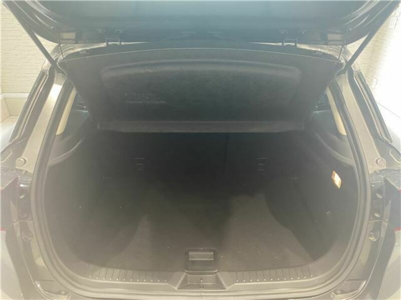 CX-3-10