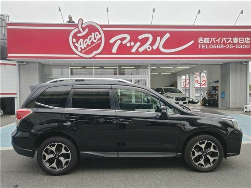 FORESTER