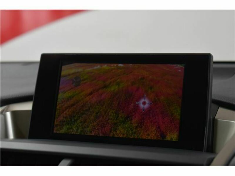 NX