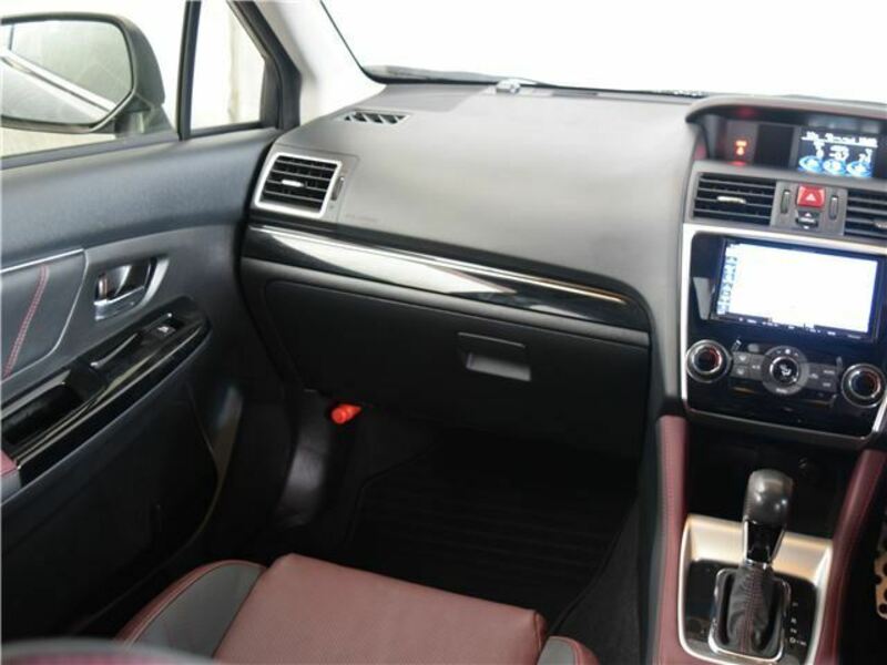 LEVORG-13