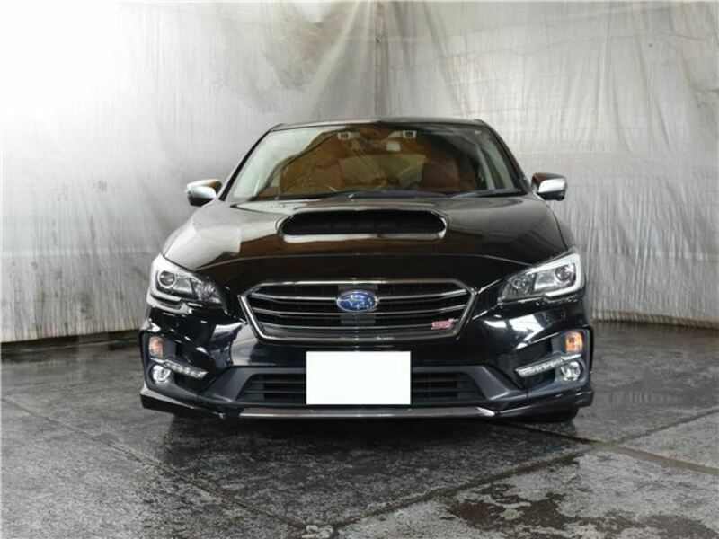 LEVORG-39